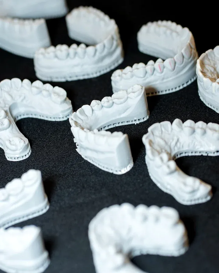 Stone dental models and sectioned arches laid out on black cloth